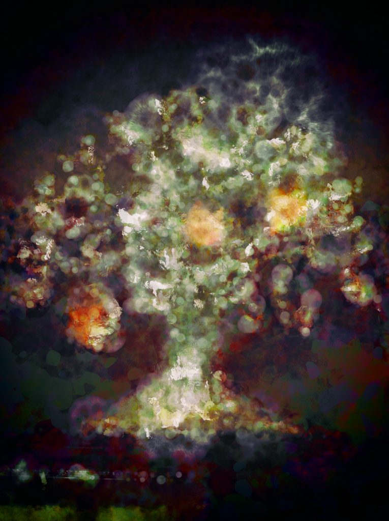 Tree of the Knowledge of Good and Evil