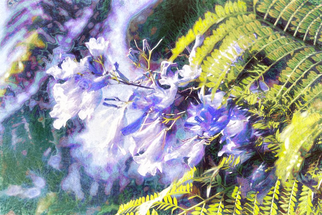 purple flowers and fern