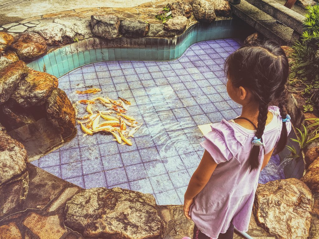 little girl standing over pool of fish